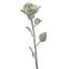 sterlingsilver's picture sterlingsilver's picture